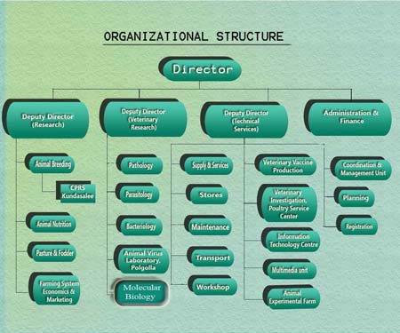 Home: Organization Structure
