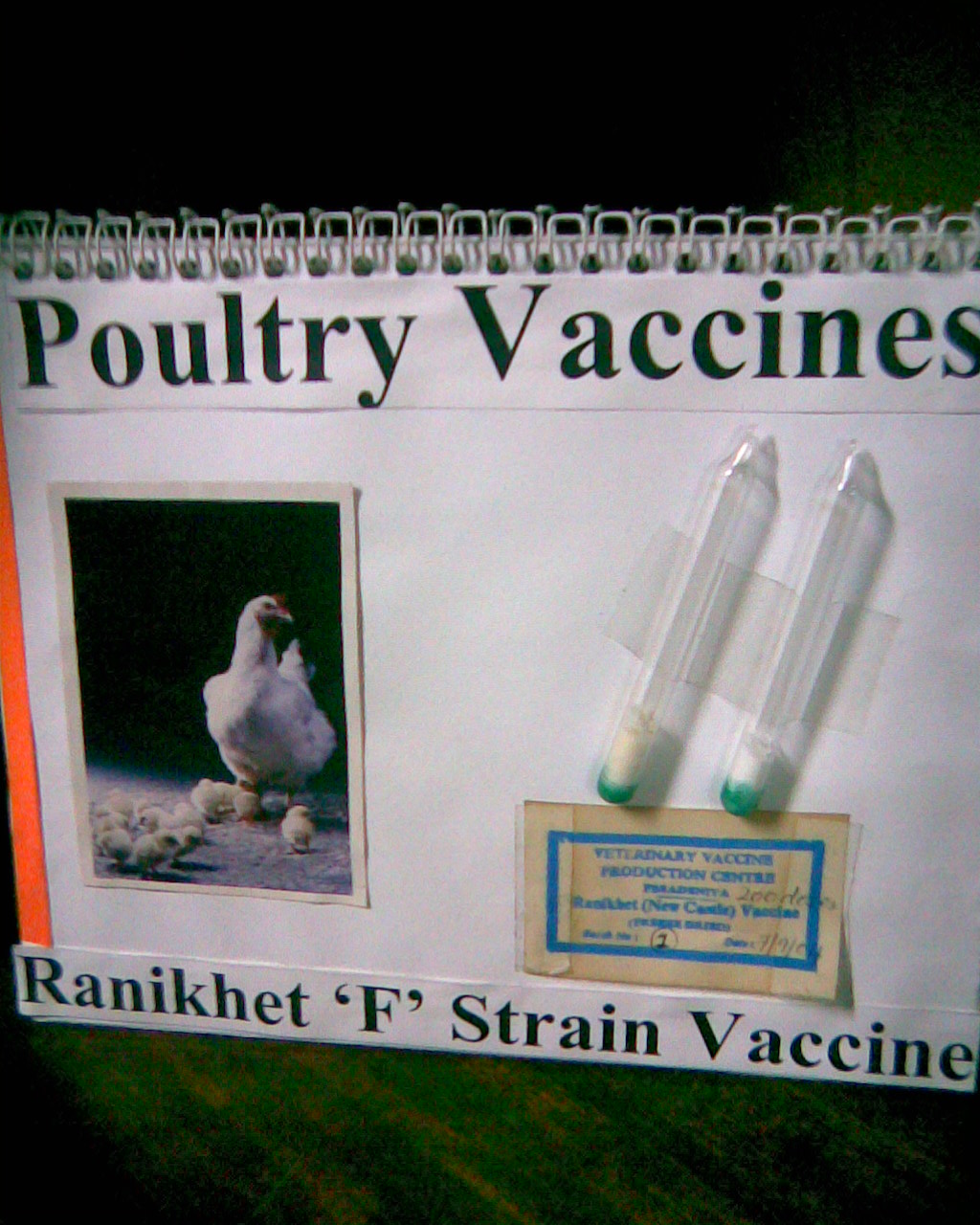 Rhaniket vaccines